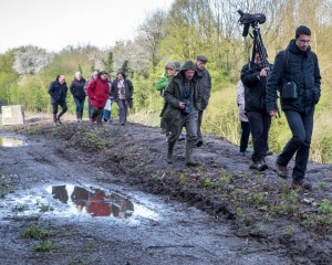 RNBCh-AubeOiseaux-01mai2016-JPC-3182-3 (Copier)