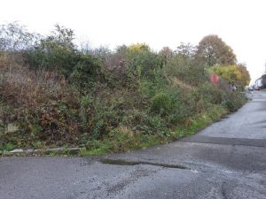 20161106_094137-c